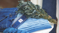 Image: Stony Creek Colors, one of the eight start-ups the scheme will support